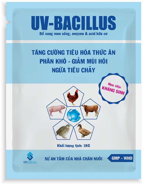 UV Bacillus 1kg - Gói