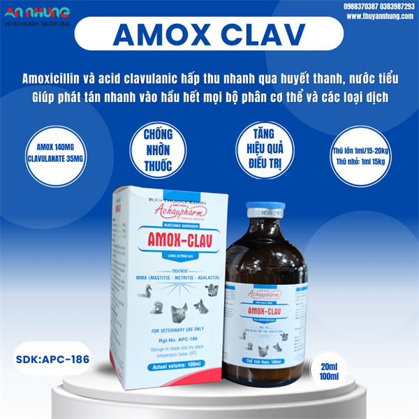 Á Châu AMOX CLAV - Lọ 100ml