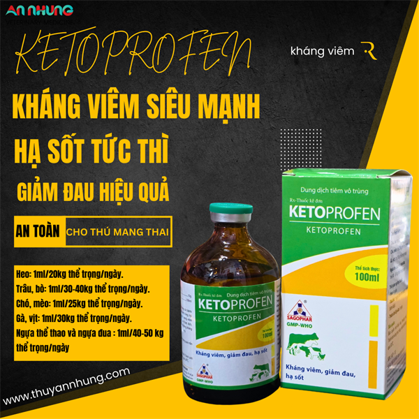 SAGOPHAR KETOPROFEN 10% (hàm lượng cao) 100ml - chai 100ml