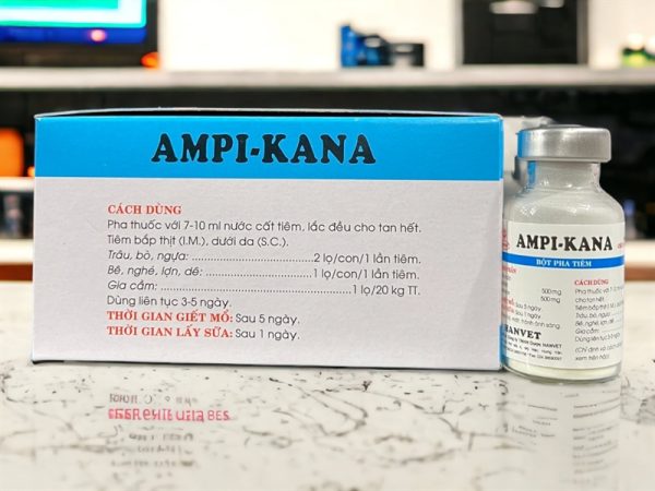 Hanvet Kana Ampi 1gr - Hộp 20 lọ - Ảnh 3