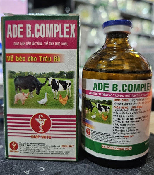 Minh Huy ADE BCOMPLEX 100ml - Chai