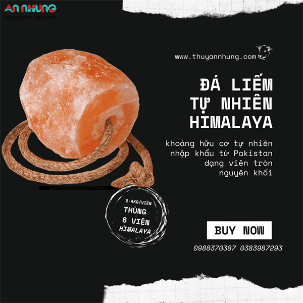 Đá Liếm Qaisar - Đá tự nhiên Hymalaya - 6 viên/ thùng - 16kg - Thùng