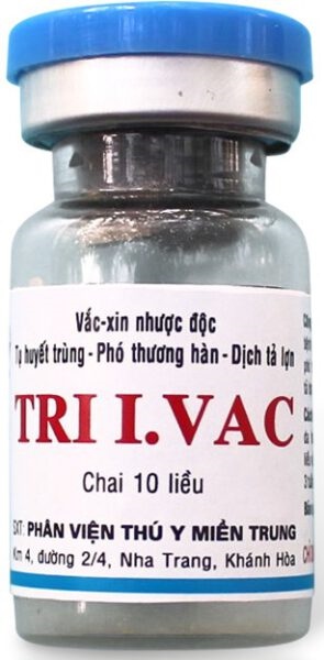 Vaccine Phân Viện - Tri I.Vac KÉP (3 in1) - lọ/ 3 bệnh