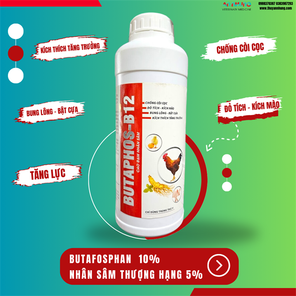AGRI BUTAPHOS B12 1 Lít - Butaphosfan- Tăng lực, Nhân sâm, đỏ tích, kích mào