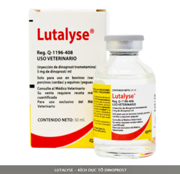 Zoetis Lutalyse 30ml - Hộp