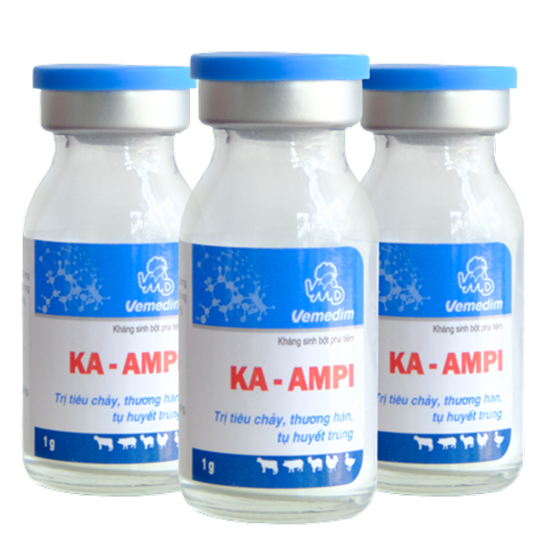 VMD K Ampi 1gr - Hộp 10 lọ - Hộp