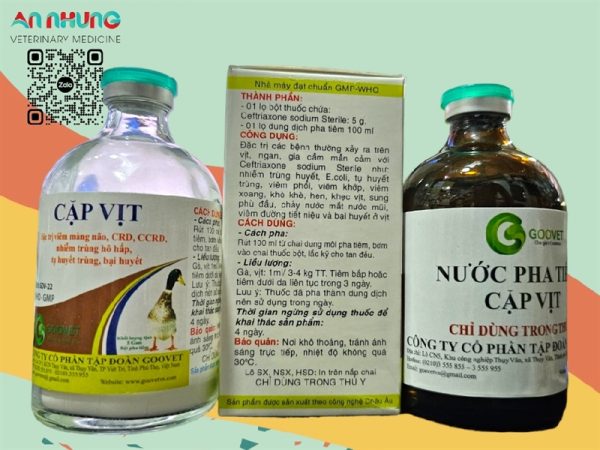 Goovet Cặp vịt 5g - hộp - Ảnh 3