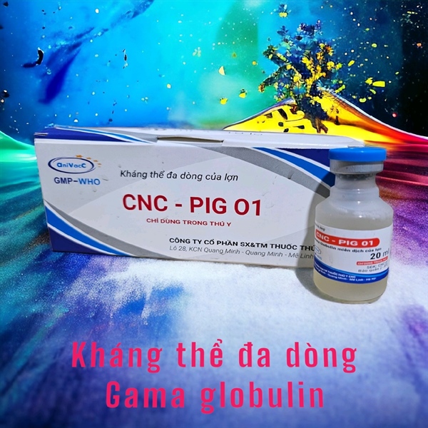 Kháng thể đa dòng Gamma globulin - CNC PIG 01 - 20ml - Lọ