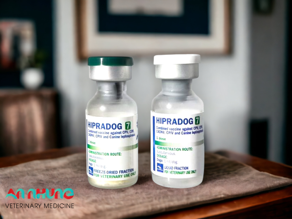 Vaccine Hipra Dog - 7 bệnh Chó - Ảnh 2