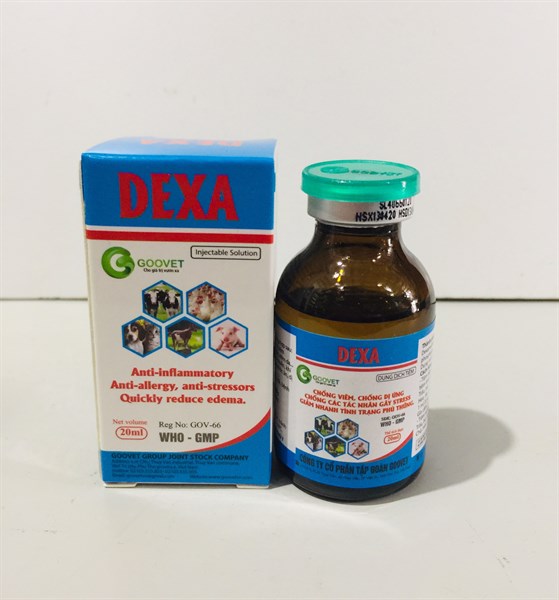 Goovet Dexa 20ml - Lọ 20ml