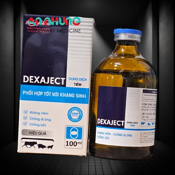 Á CHÂU DEXAJECT 100ml - Lọ 100ml