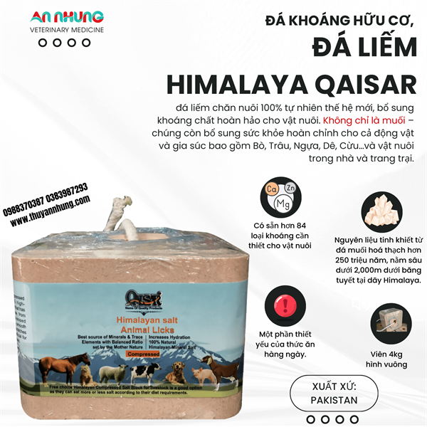 Đá liếm VUÔNG Đỏ Hymalaya Pakistan - 4 viên/ Thùng 16kg - Thùng