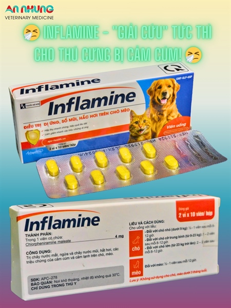 Á Châu Inflamine (Pet)- giảm chảy nước mắt, ngứa ngáy, hắt hơi, cảm cúm, cảm lạnh chó mèo - Hộp 20 viên