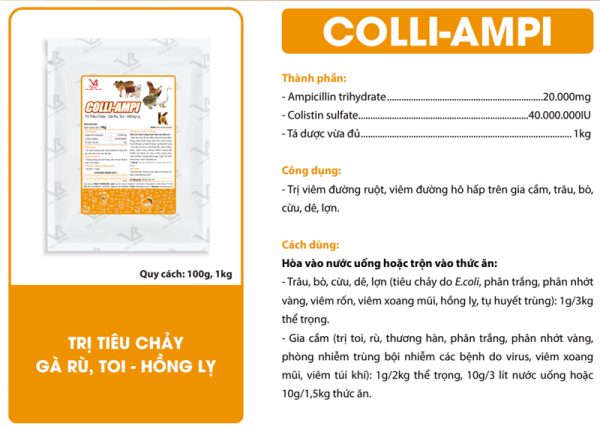 VB Coli Ampi 100gr - Gói - Ảnh 2