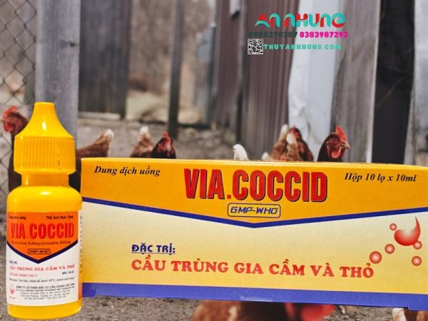 VIAVET Coccid Oral 10ml - Hộp 10 lọ - Ảnh 5