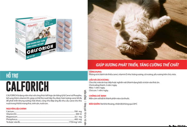 Á Châu CALFORICH (calci Pet) - Hũ 100 viên - Ảnh 2