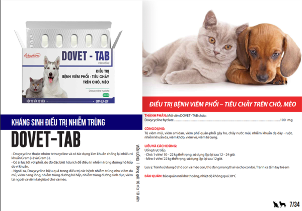 Á CHÂU DOVET TAB (viên) - Hộp 100 viên - Ảnh 2
