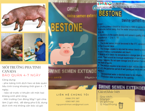 Môi Trường pha tinh Canada Bestone - gói (Hộp 25 gói) - Ảnh 3