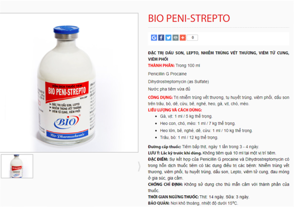 BIO PENI STREPTO 100ml - Lọ - Ảnh 2