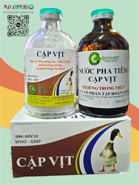 Goovet Cặp vịt 5g - hộp