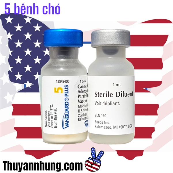Vaccine Zoetis VanGuard Plus - 5 bệnh chó - Cặp 5Benh