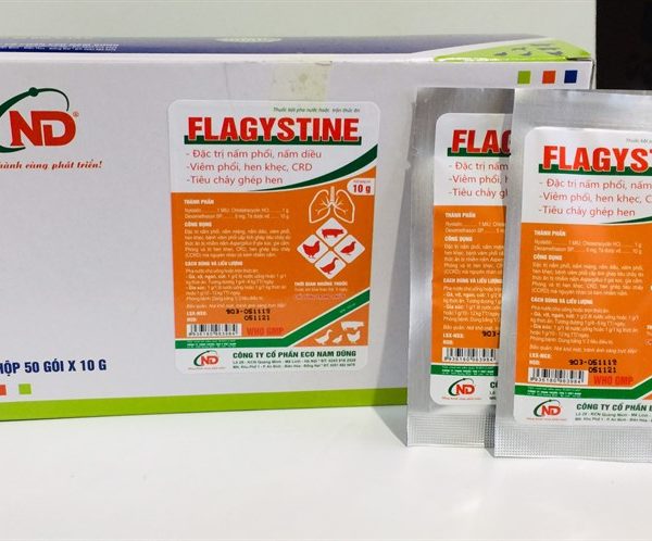 ND Flagystine 10gr (Nystatin + Chlotetra + Dexa) - Hộp 50 gói