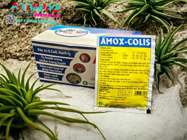 Goovet Amox Colis 10gr - Hộp 50 gói - Ảnh 2