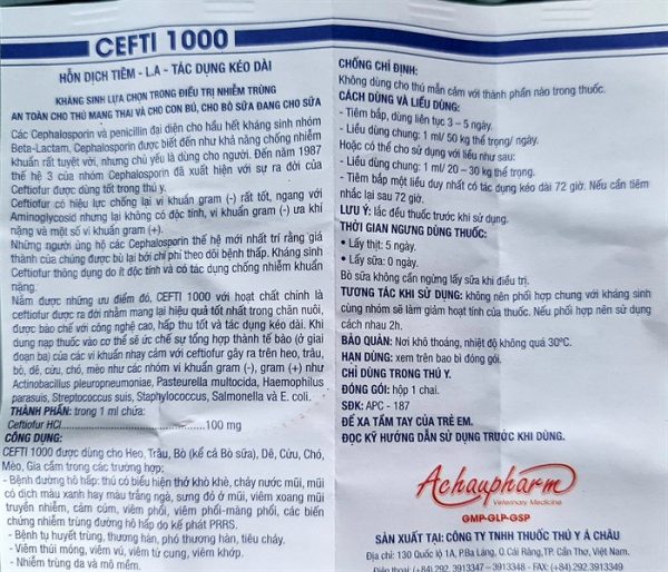 Á CHÂU CEFTI 1000 - Lọ 100ml - Ảnh 2