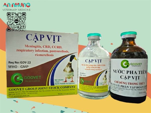 Goovet Cặp vịt 5g - hộp - Ảnh 4