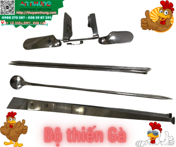 Bộ Thiến Gà - Bộ