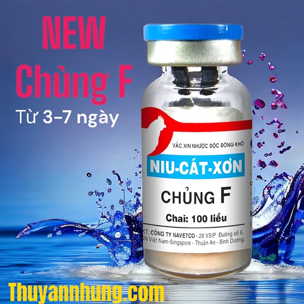 Vaccine Navetco - Newcatsle F (chủng F) - lọ 100 liều