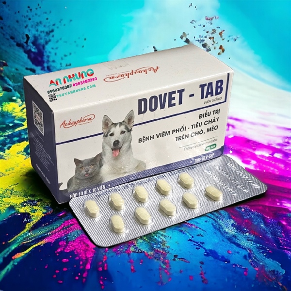 Á CHÂU DOVET TAB (viên) - Hộp 100 viên
