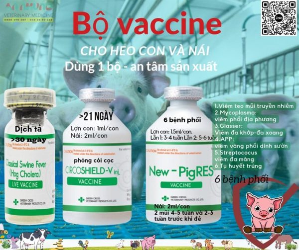 Vaccine Tigervet New Pigres - Phổi 6 bệnh - 10 liều - Lọ 10 liều - Ảnh 5
