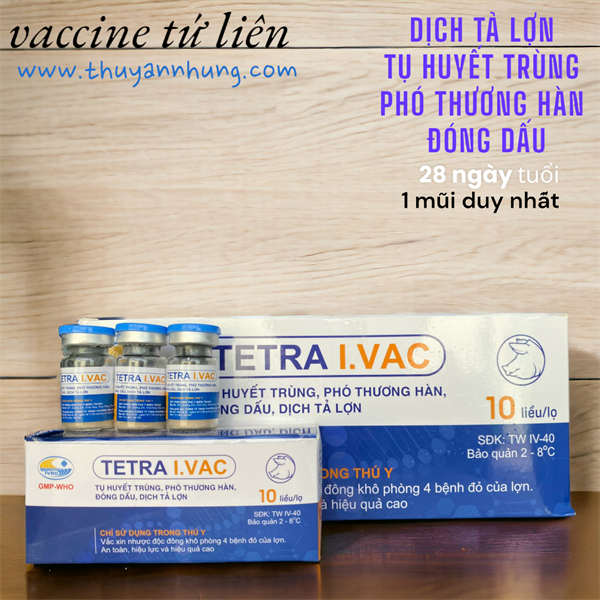 Vaccine Tứ Liên - Tetra I.Vac 10 Liều - Lọ