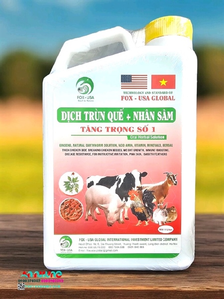 SUMI DỊCH TRÙN QUẾ + NHÂN SÂM (Tăng trọng số 1) - 1 lít - Can