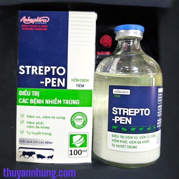 Á CHÂU STREPTO PEN LA (HD) - Lọ 100ml