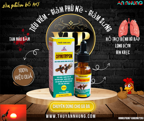 Sagophar Chymotrysin Gà đá 20ml - Chai 20ml