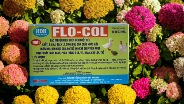 HDH FLO COLl 10ml - Hen khẹc, tiêu chảy - hôp 10 lọ - Ảnh 4