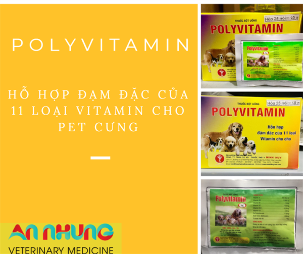 Minh Huy PolyVitamin (chó,mèo) 10gr - Hộp 50 gói - Ảnh 3