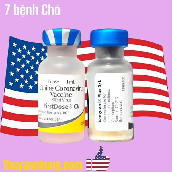 VACCINE ZOETIS VANGUARD PLUS 5 CVL- 7 bệnh chó - Cặp 7Benh