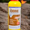 VIA IODINE 1 Lít - Thùng 12 lít