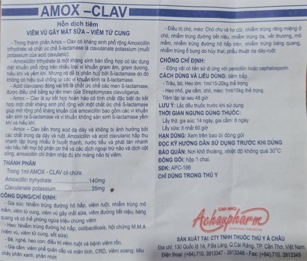 Á Châu AMOX CLAV - Lọ 100ml - Ảnh 2