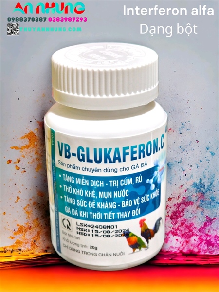 VB Glukaferon. C (Interferon) - Gà đá - Lon