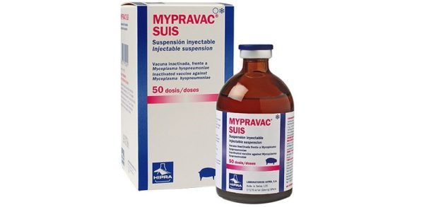 Vaccine Hipra Mypravac Suis - Lọ 10 liều - Ảnh 2