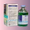 Á Châu ANAGIL C 100ml - Chai 100ml