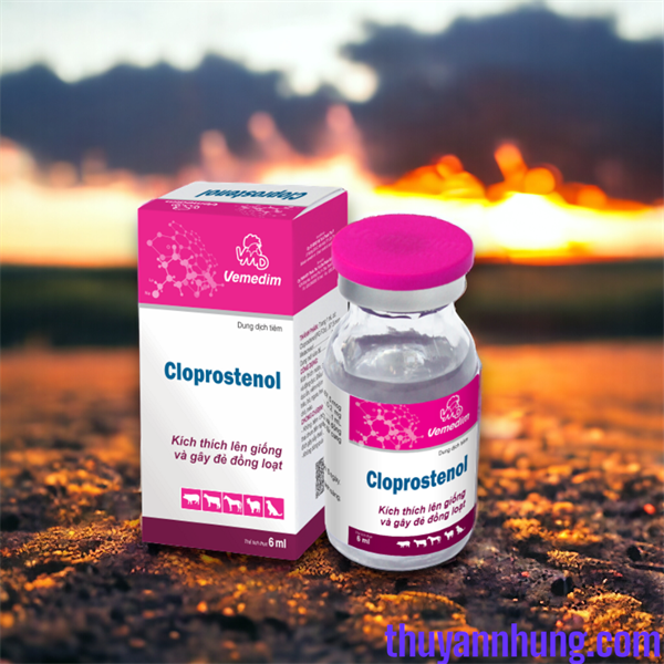 VMD CLOPROGESTEROL 6ml - Lọ 6ml