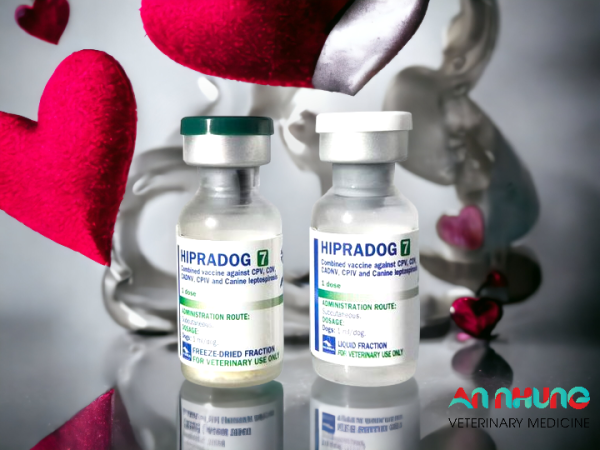 Vaccine Hipra Dog - 7 bệnh Chó - Ảnh 5