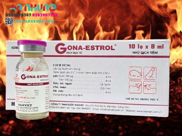 Hanvet Gona Estrol - Ống - Hộp 10 ống - Ảnh 4