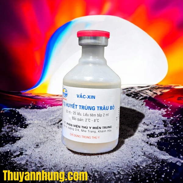 Vaccine Phân Viện- TỤ HUYẾT TRÙNG TRÂU, BÒ - Lọ 25 liều