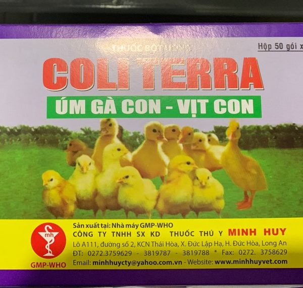 Minh Huy Coli Tetra 10gr - Hộp 50 gói